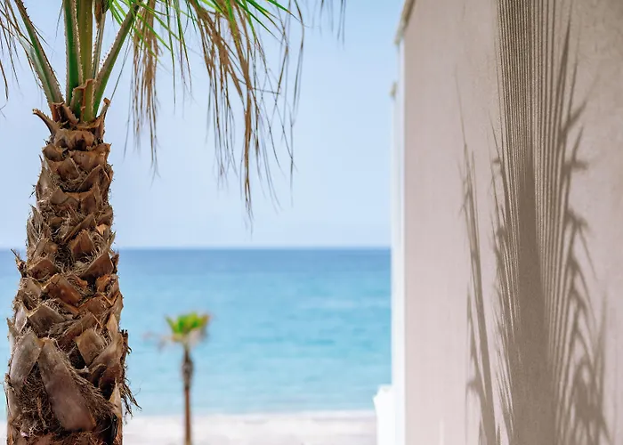 Отель Zest Thassos Luxury Retreat 4*